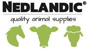 Nedlandic