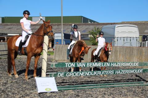 Ton van Bemmelenbokaal