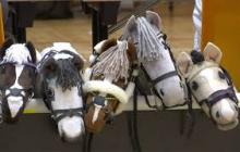 Stokpaardenrace