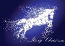 Kerst Springen