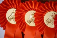 Onderlinge wedstrijd