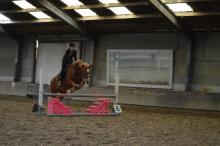Nienke-Loes