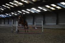 Nienke-Loes