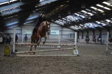 Nienke-Loes