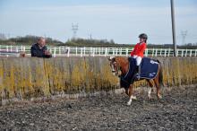 Winnaars