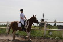 Lieke-Glenn