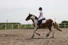 Lieke-Glenn