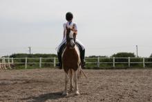 Lieke-Glenn