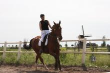 Andrea-Diego