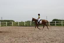 Jaylee-Vicky