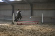pony