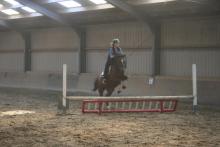 pony