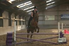 pony