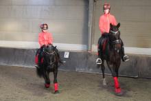 Rood- Vajen en Lotte