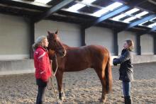 Inge en Don