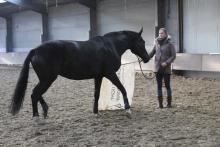 Chantal en Belle
