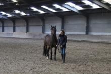 1e workshop/clinic met Siem