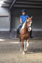 Michanne-Kees