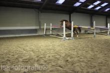 Pony