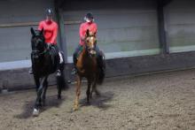 Maandagavond Manegeles
