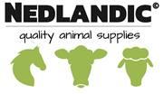 Nedlandic